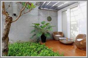 taman di belakang rumah